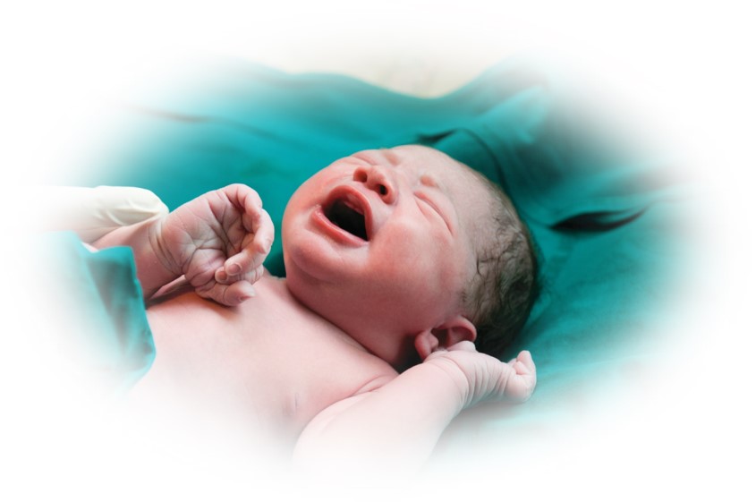 Neonatology Department