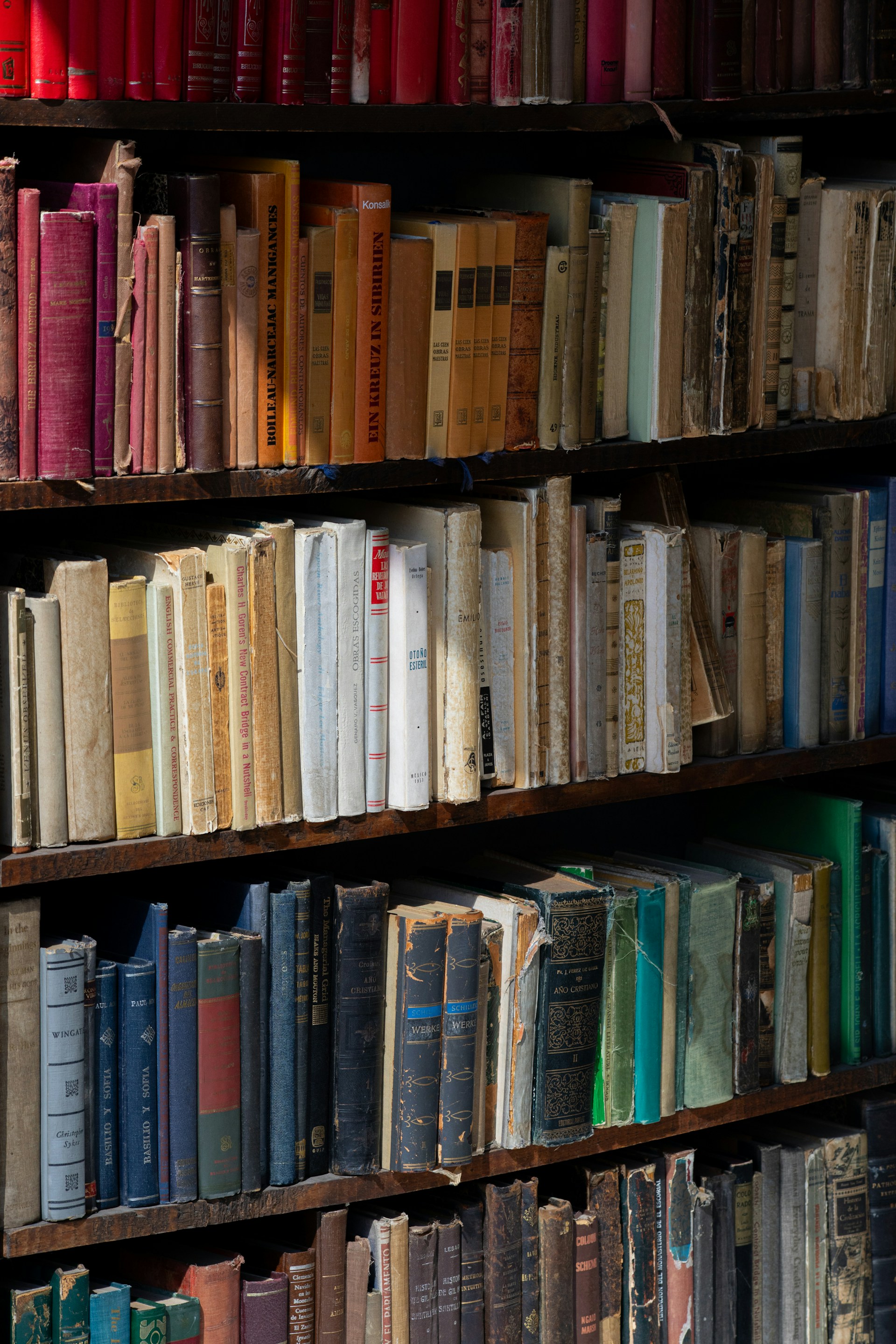 Library Welcome Image